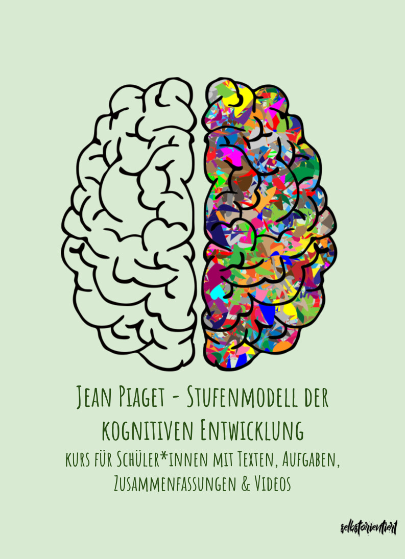Jean Piaget - Zusammenfassungen, Übungen & Videos