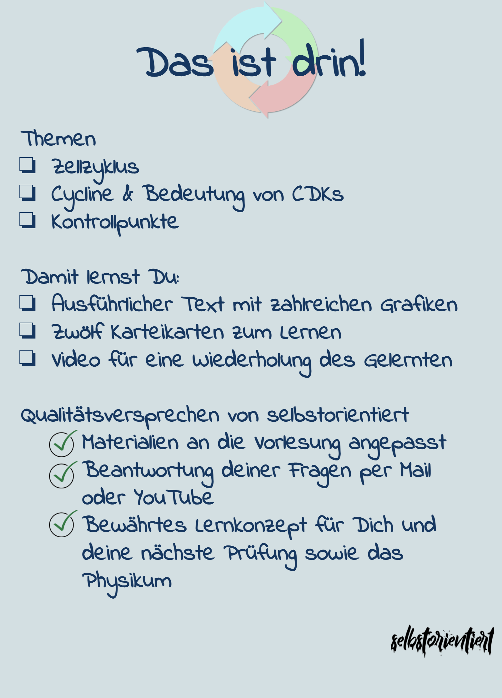 Zellzyklus & Cycline - Kurs mit Karteikarten & Texten