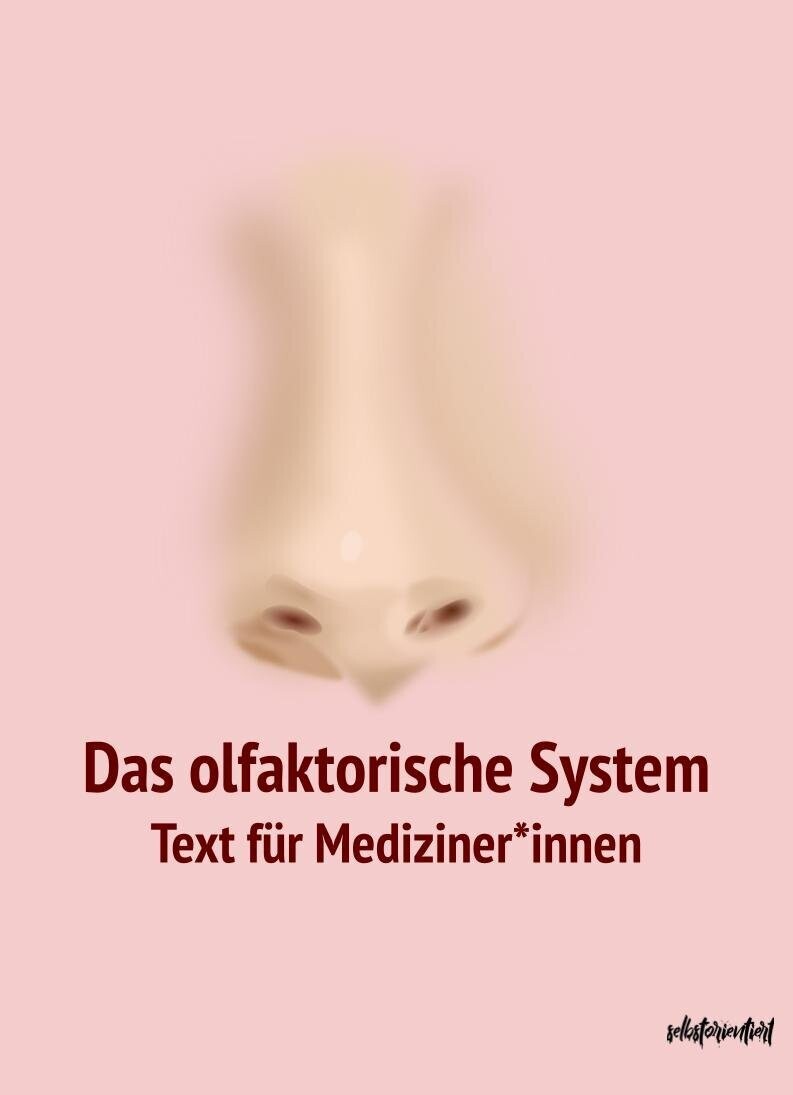 Das olfaktorische System - Text