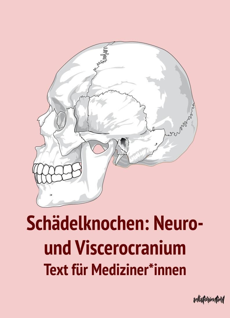 Schädelknochen: Neuro- & Viscerocranium - Text
