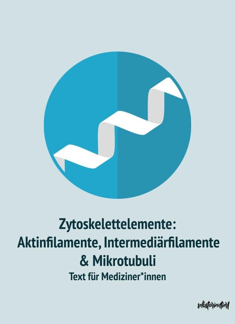 Zytoskelettelemente: Aktinfilamente, Intermediärfilamente & Mikrotubulus - Text