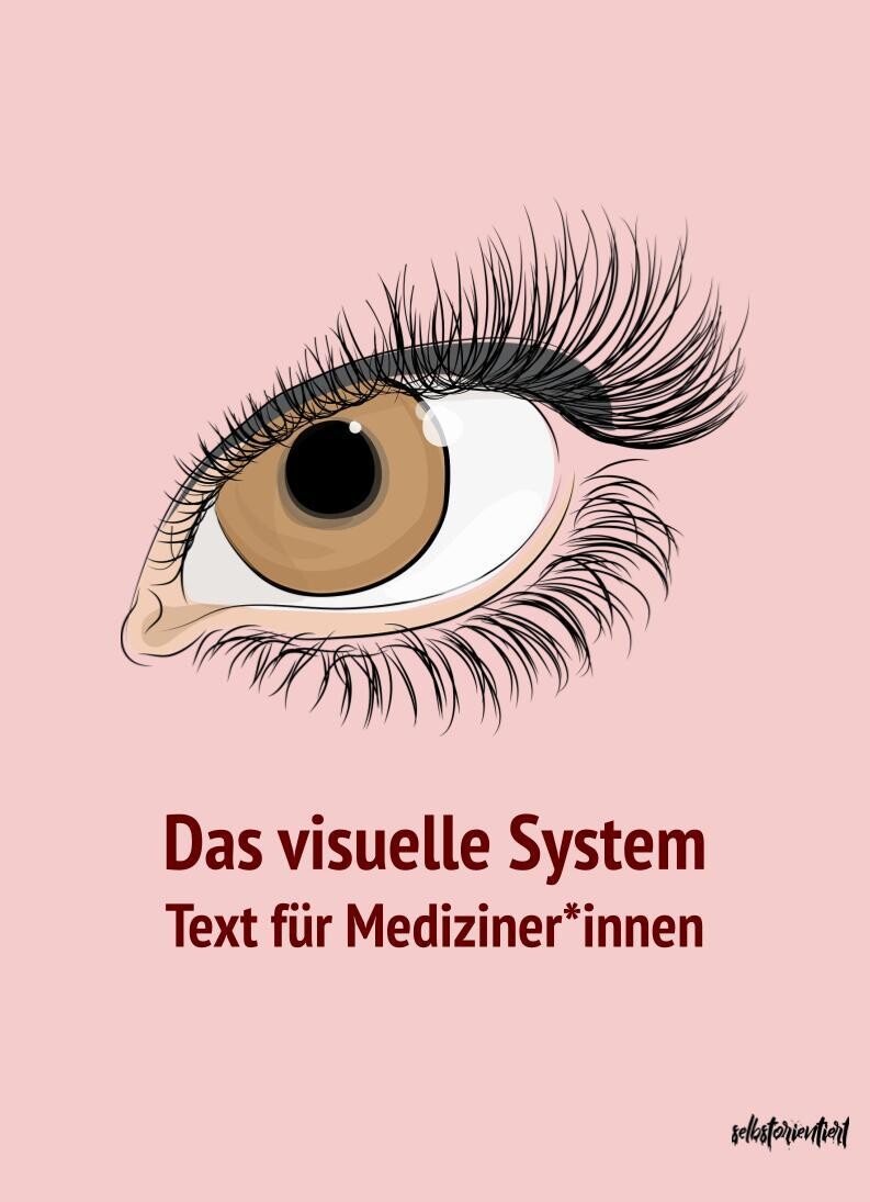 Das Visuelle System - Text & Lernkarten