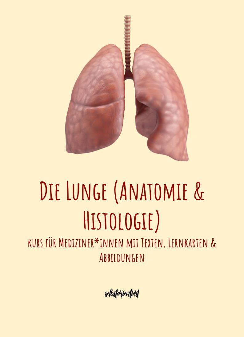 Lunge (Anatomie & Histologie) - Text & Lernkarten