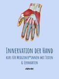 Innervation der Hand  - Text & Lernkarten