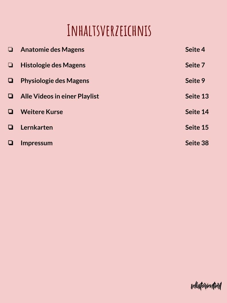Magen (Anatomie, Histologie & Physiologie) - Text & Lernkarten