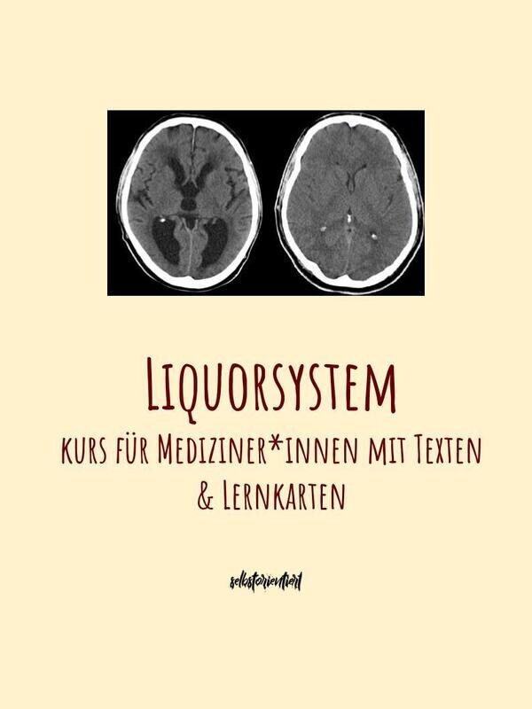 Liquorsystem- Text & Lernkarten