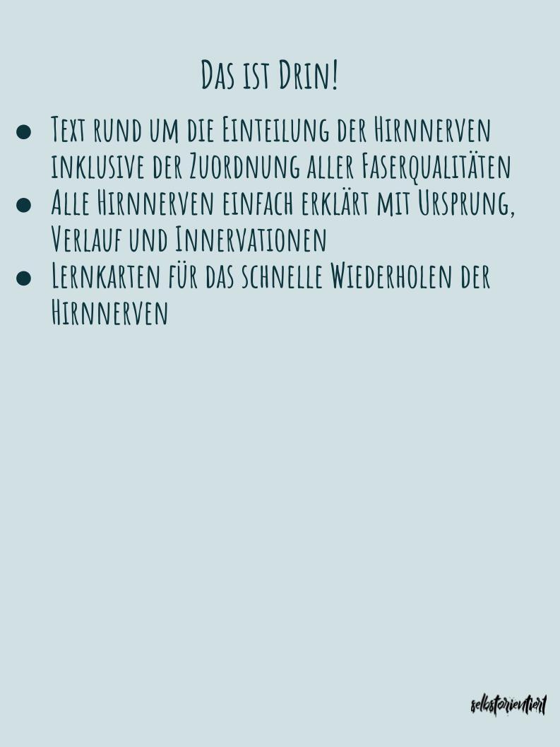 Hirnnerven - Text & Lernkarten