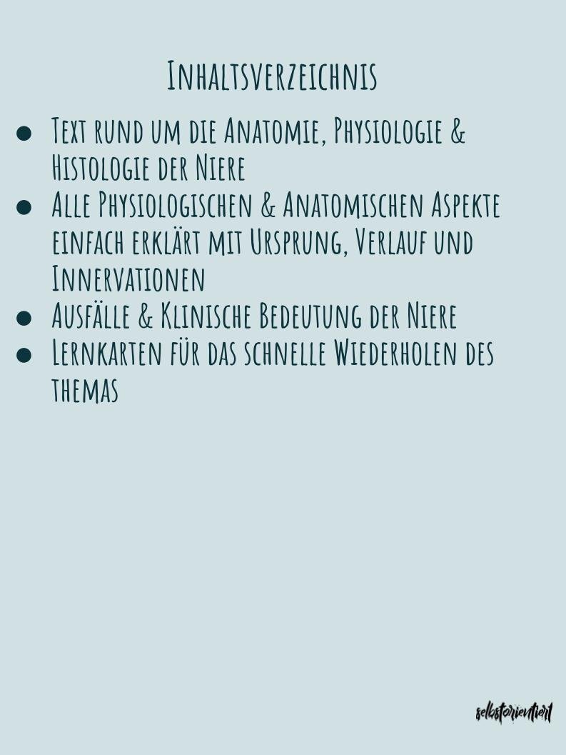 Die Niere - Text & Lernkarten