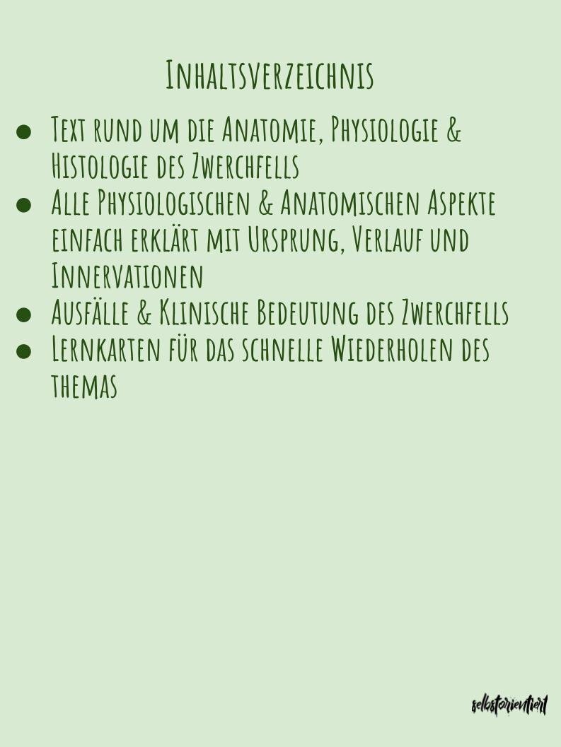 Das Zwerchfell - Text & Lernkarten