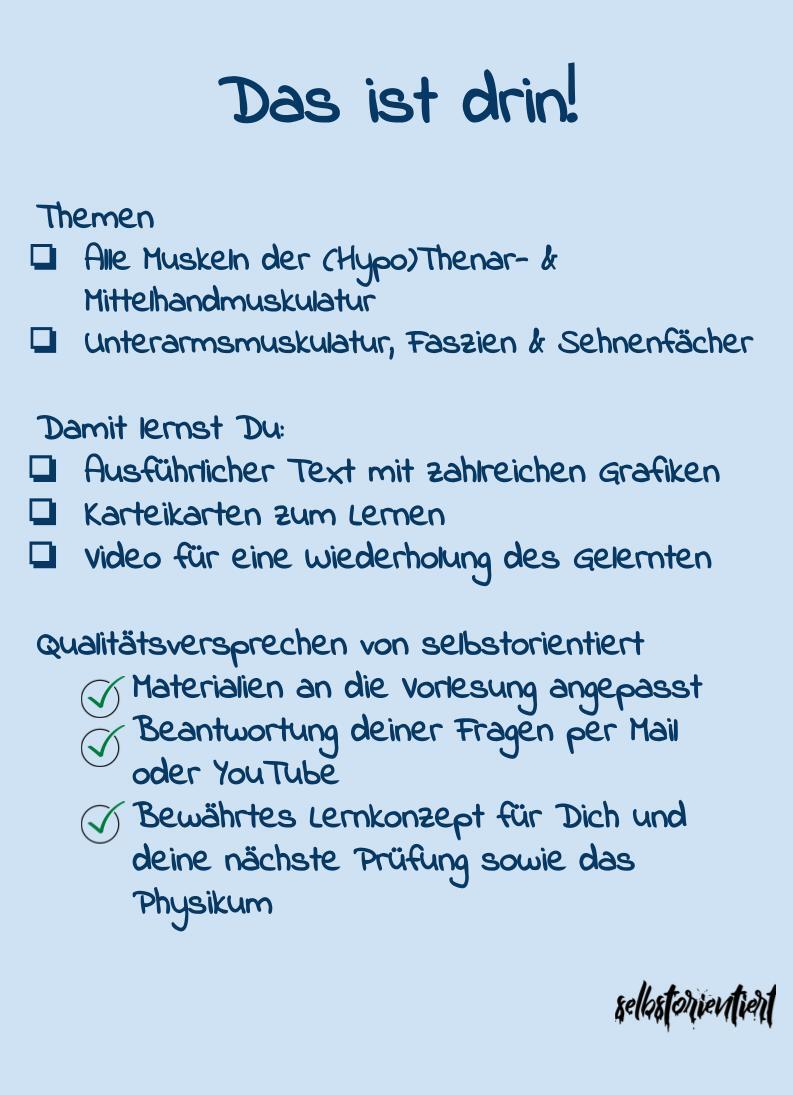 Die Handmuskulatur - Text & Lernkarten