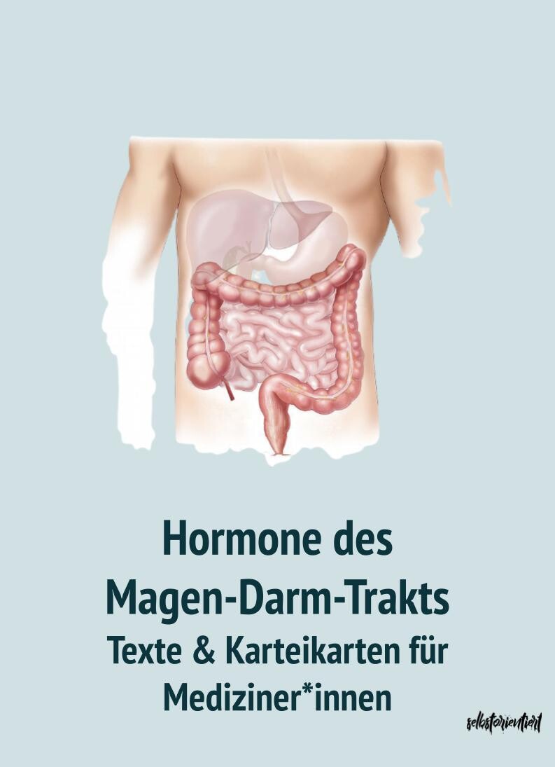 Hormone des Magen-Darm-Trakts - Text & Lernkarten