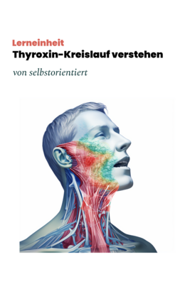 Thyroxin Kreislauf: Was bewirkt (L-)Thyroxin im Körper?