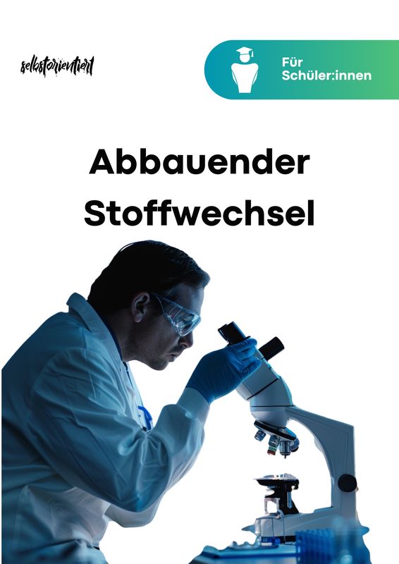 Lernheft "Abbauender Stoffwechsel | Biologie Lehrplan"