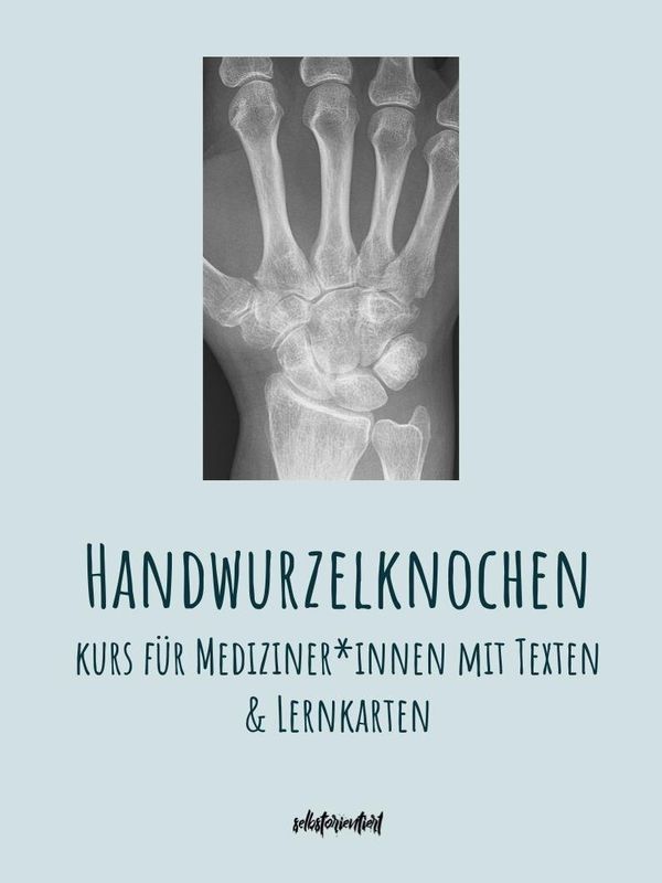 Handwurzelknochen- Text & Lernkarten