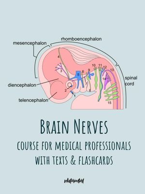 All Brain Nerves - Texts & Flashcards