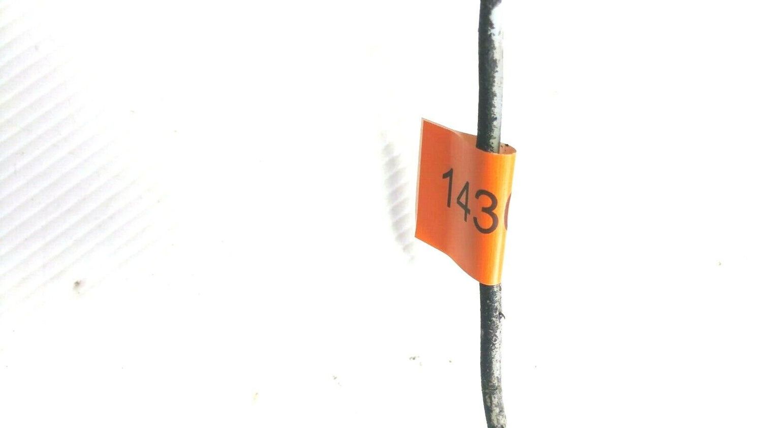 FERRARI 348 PARTS brake fluid pipe tube CENTER UNIT TO 2 WAY 143067