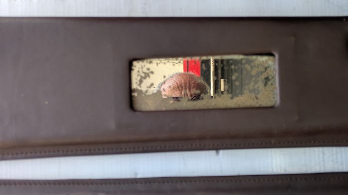 69- 80 ROLLS-ROYCE SILVER SHADOW LEFT and RIGHT SUNVISOR BROWN Sunshade PAIR