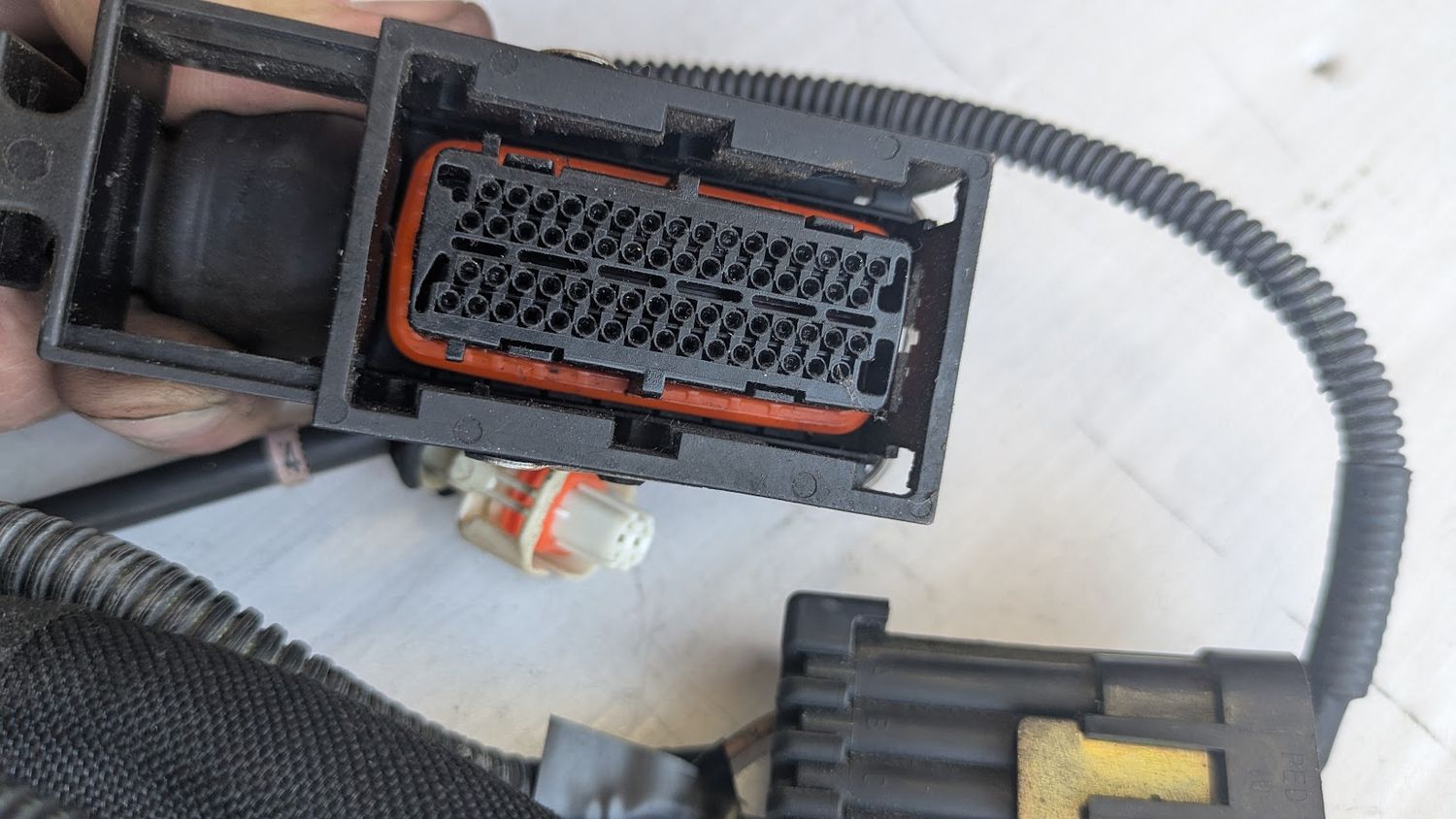 FERRARI 360 SPIDER PART, LEFT REAR WIRING HARNESS FOR ENGINE COMPARTMENT  179168