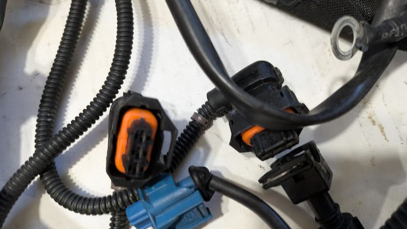 FERRARI 360 SPIDER PART, REAR WIRING HARNESS FOR ENGINE COMPARTMENT  179167