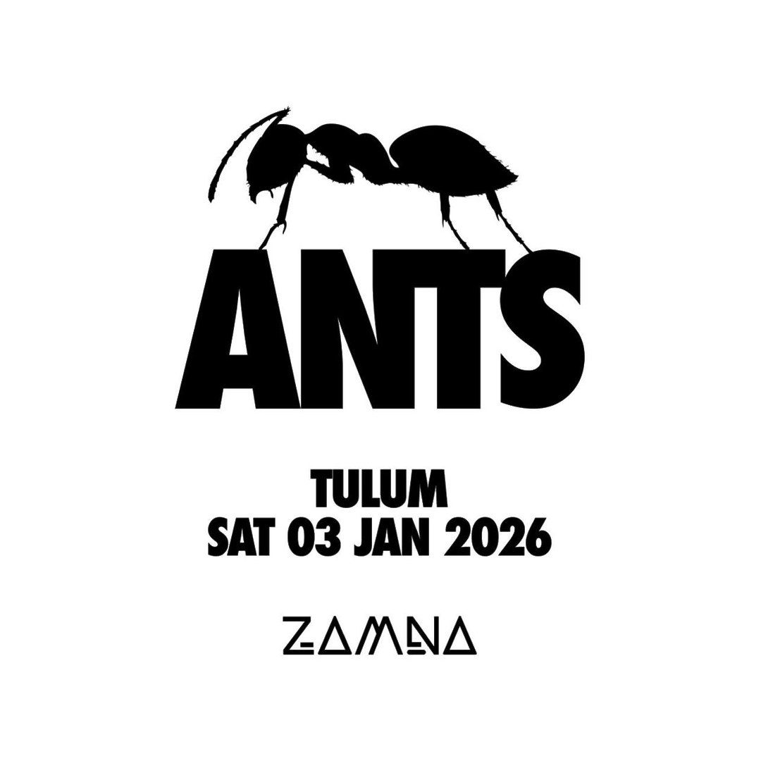 ANTS-January 03-VIP Tables-Zamna Festival Tulum 2026