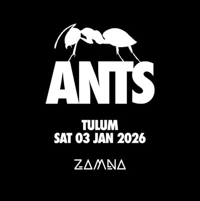 ANTS-January 03-General-Zamna Tulum 2026