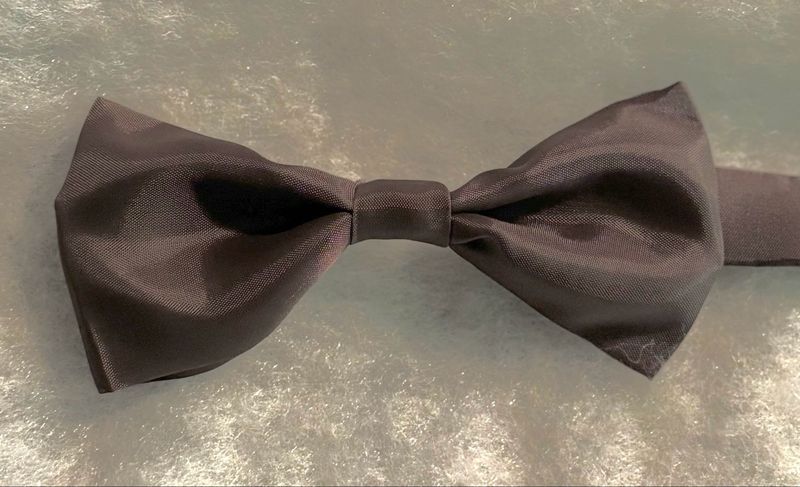 Boys Sheer Satin Brown Bow Tie