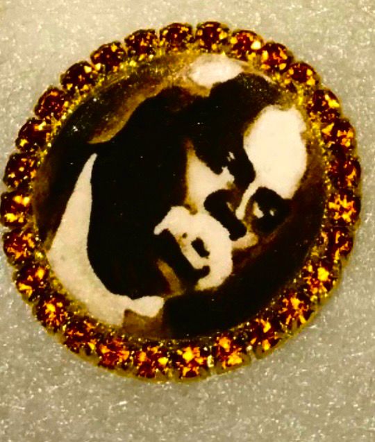 Coffee Brown Prophet Pin 