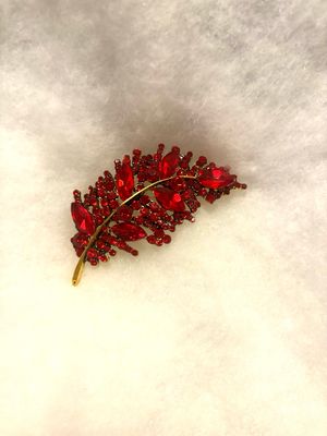Red Brooch