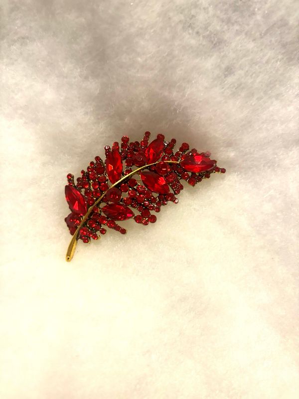 Red Brooch