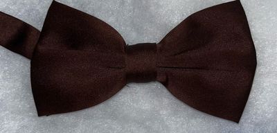 Boys Chocolate Brown Tie