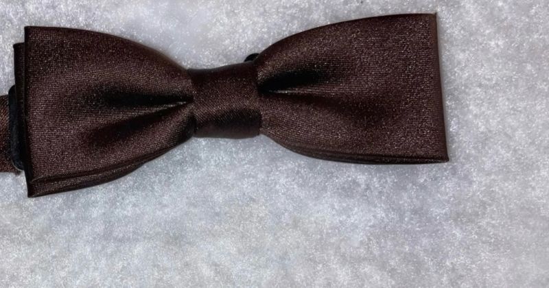 Boys Skinny Brown Tie