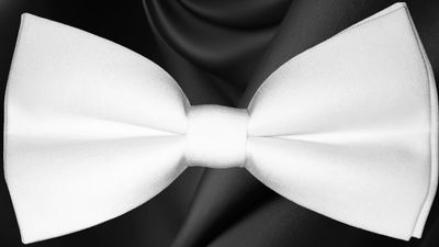 White Bow Tie