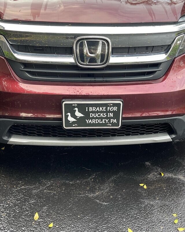 Car License Plate