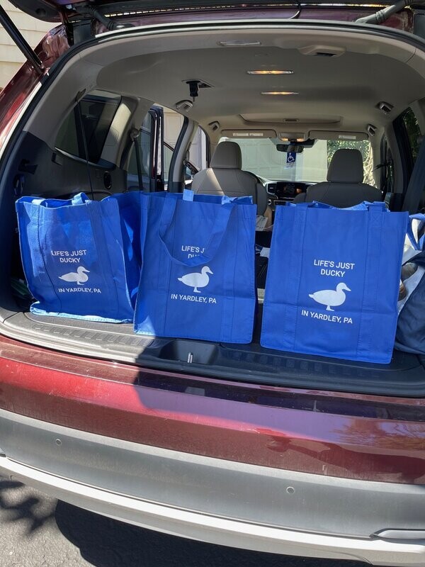 Blue Grocery Bag