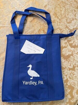 Blue Insulated Grocery Bag