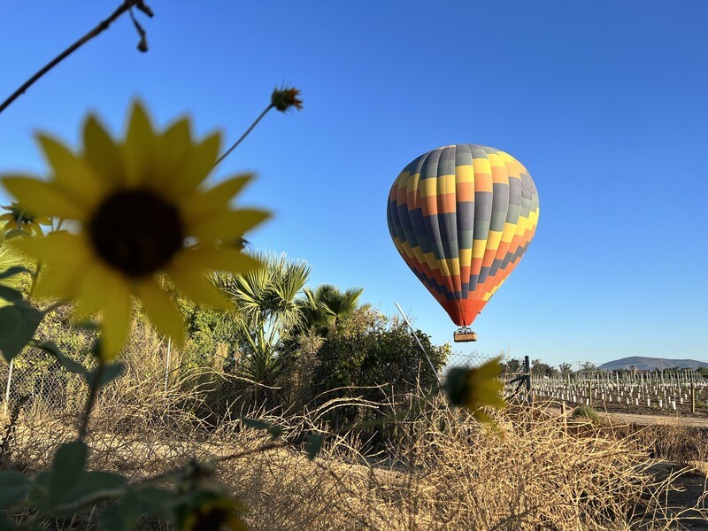 Gift Certificate for our Sunrise Hot Air Balloon flight for 1 Person .