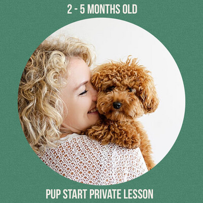 TD02 - PUP START PRIVATE LESSON