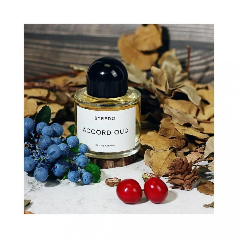 BYREDO Accord Oud edp
