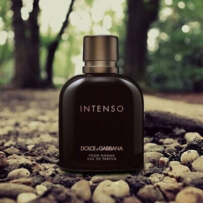 Dolce&amp; Gabbana Intenso Pour Homme edp