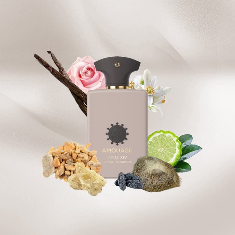 Amouage Opus XIV Royal Tobacco