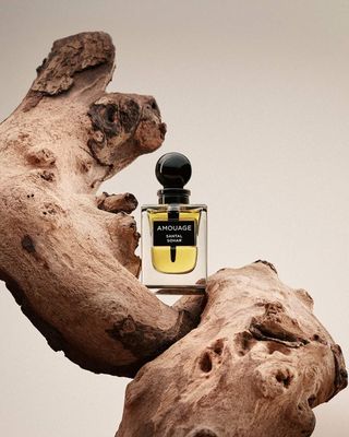 Amouage ATTAR-Santal Sohar