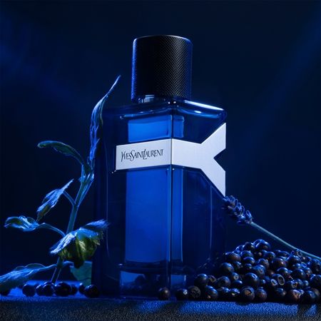 YSL Y edp Intense
