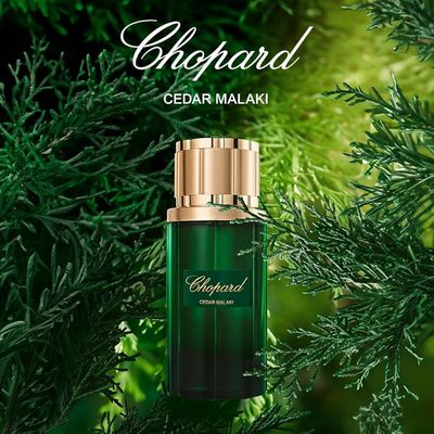 Chopard Cedar Malaki
