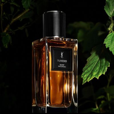 YSL Tuxedo Sharp Patchouli