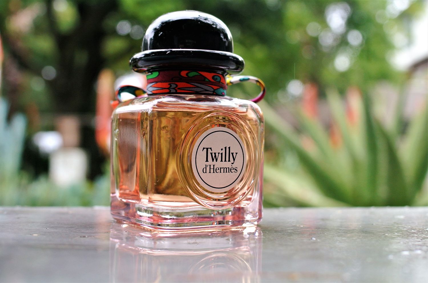 Terre d'Hermes Twilly edp