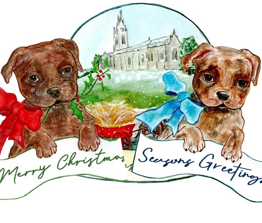 Multipack Christmas Cards