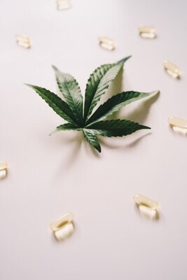 CBD Capsules & Pills