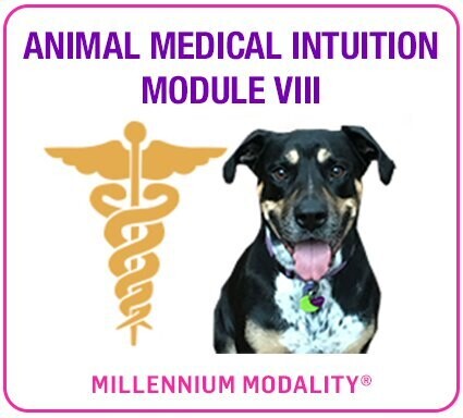 Animal Medical Intuitive (Online) – 23 & 24 September 2023
