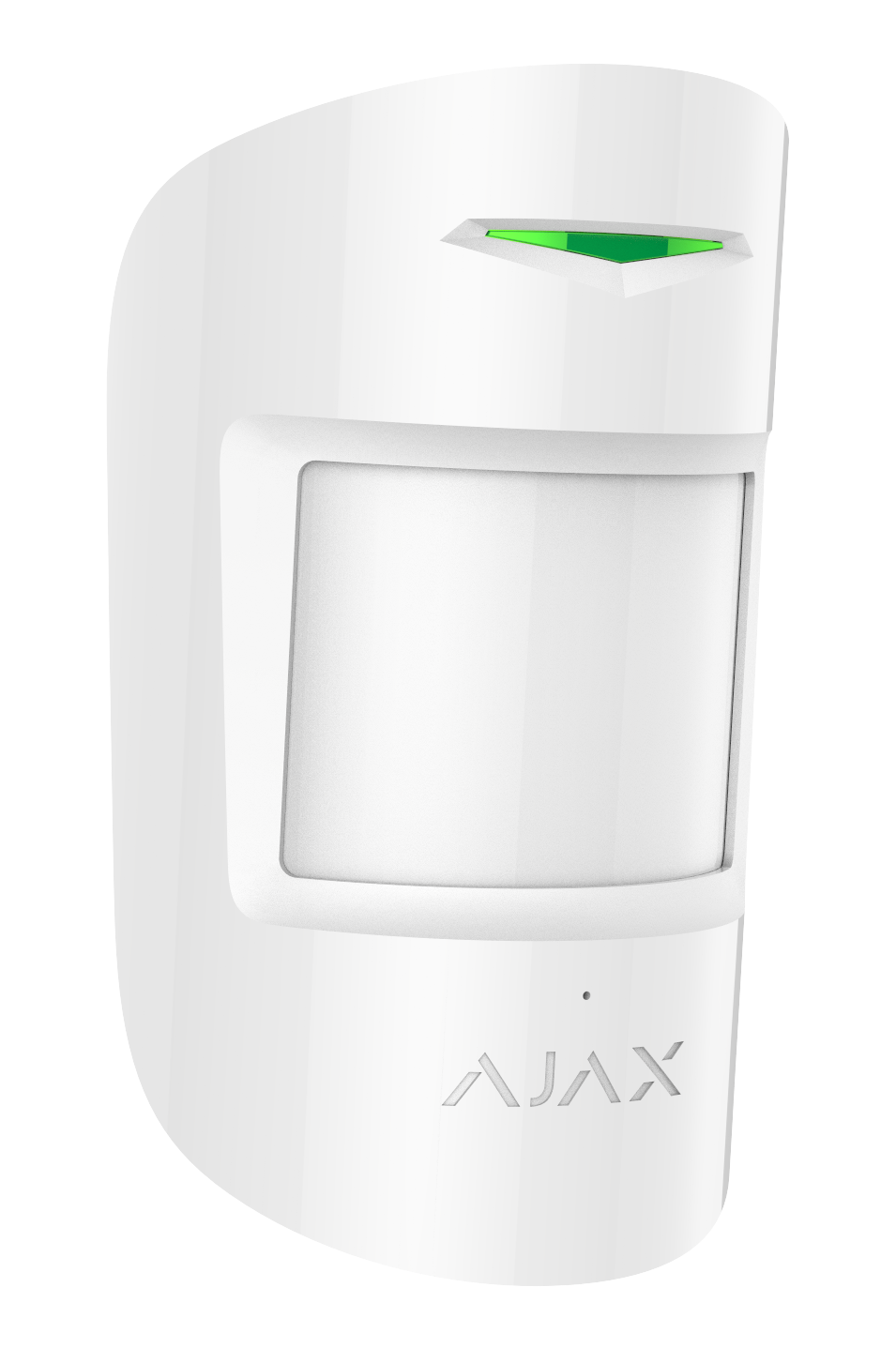 Motion Intrusion Detectors