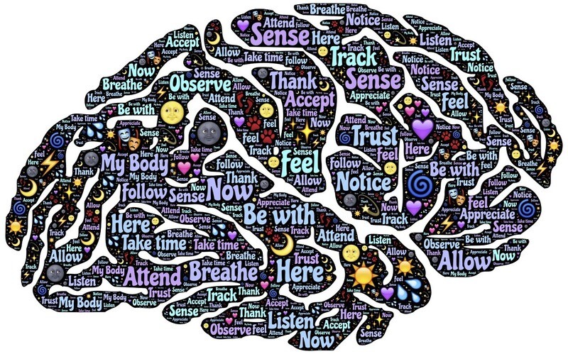 OFC&#39;s Meditations for Life